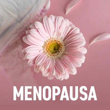 menopausa