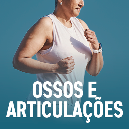 ossos e articulacoes